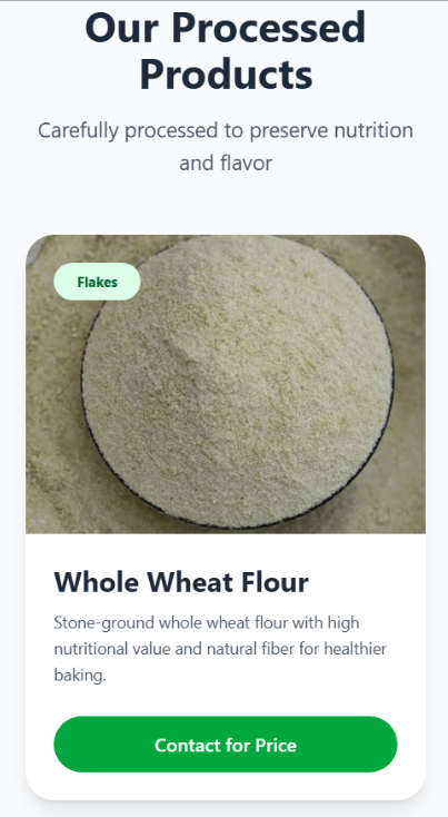 Investment Portfolio